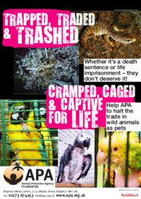 Trapped, Traded & Trashed poster